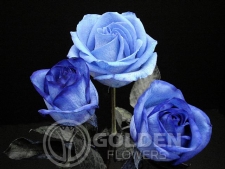 Coloured Rose - Tinted Blue