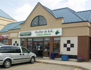 The Front Of The Shop